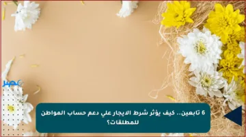 6 تابعين.. كيف يؤثر شرط الإيجار على دعم حساب المواطن للمطلقات؟